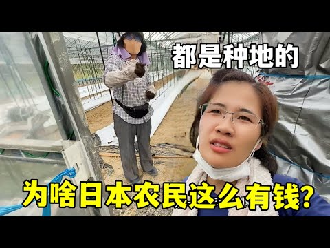 韦思佳奥斯,汀首战告负,米内恩胜出,世界杯小组赛,2026世界杯,赛程安排,球队分析,赛事预测
