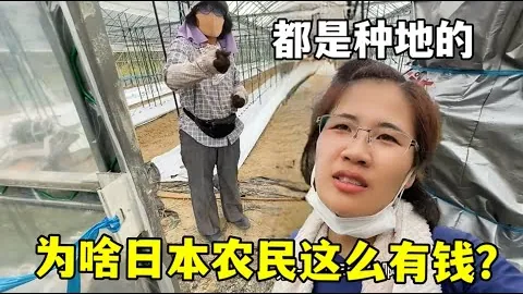 韦思佳奥斯汀首战告负，米内恩胜出晋级下一轮