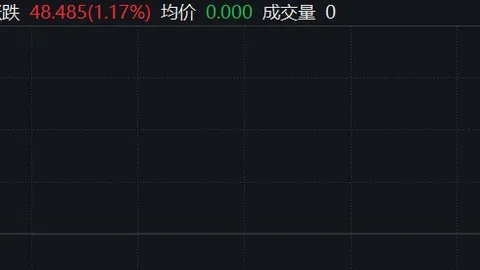 新品亮相，荣耀电竞盛典荣耀